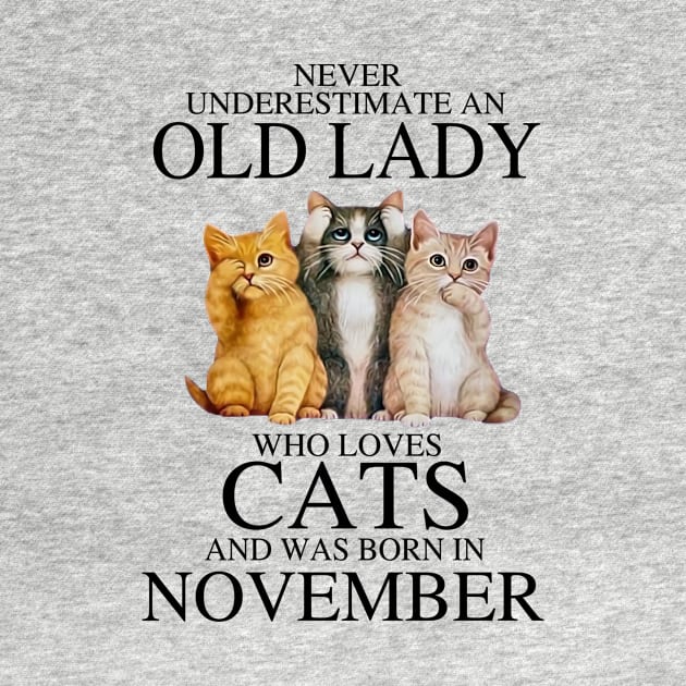 Never Underestimate An Old Lady Who Loves Cats November by louismcfarland
